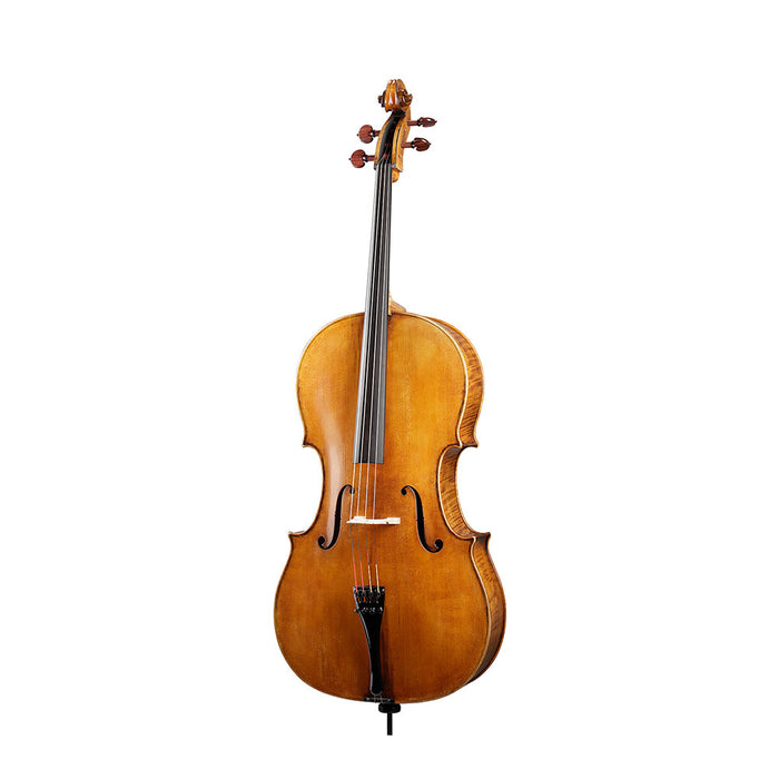 [Roderich Paesold] Cello PA605 大提琴
