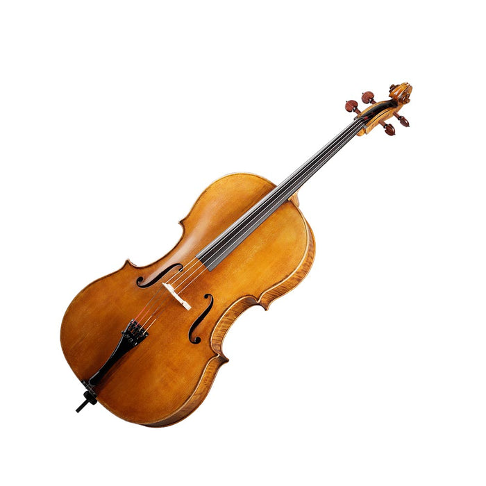 [Roderich Paesold] Cello PA605 大提琴