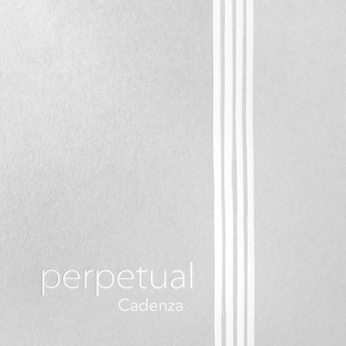 Perpetual Cadenza Violin D String 永恒华彩小提D弦